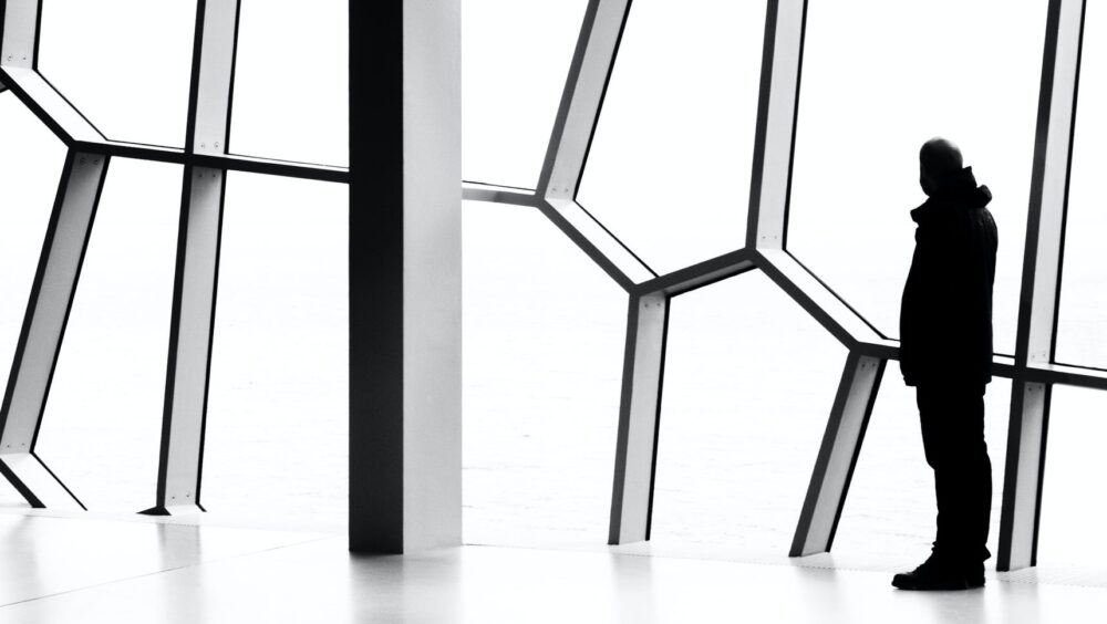 ¿Quién se ha llevado mi queso?