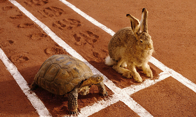 Sin prisa pero sin pausa al emprender