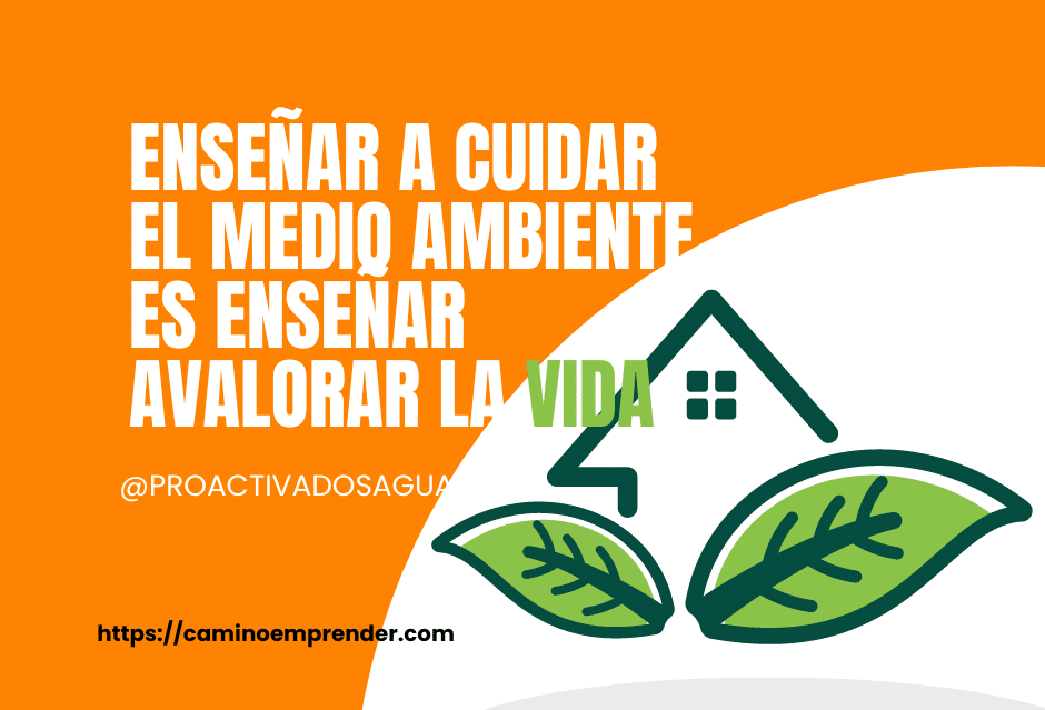 El consumo de detergentes bio