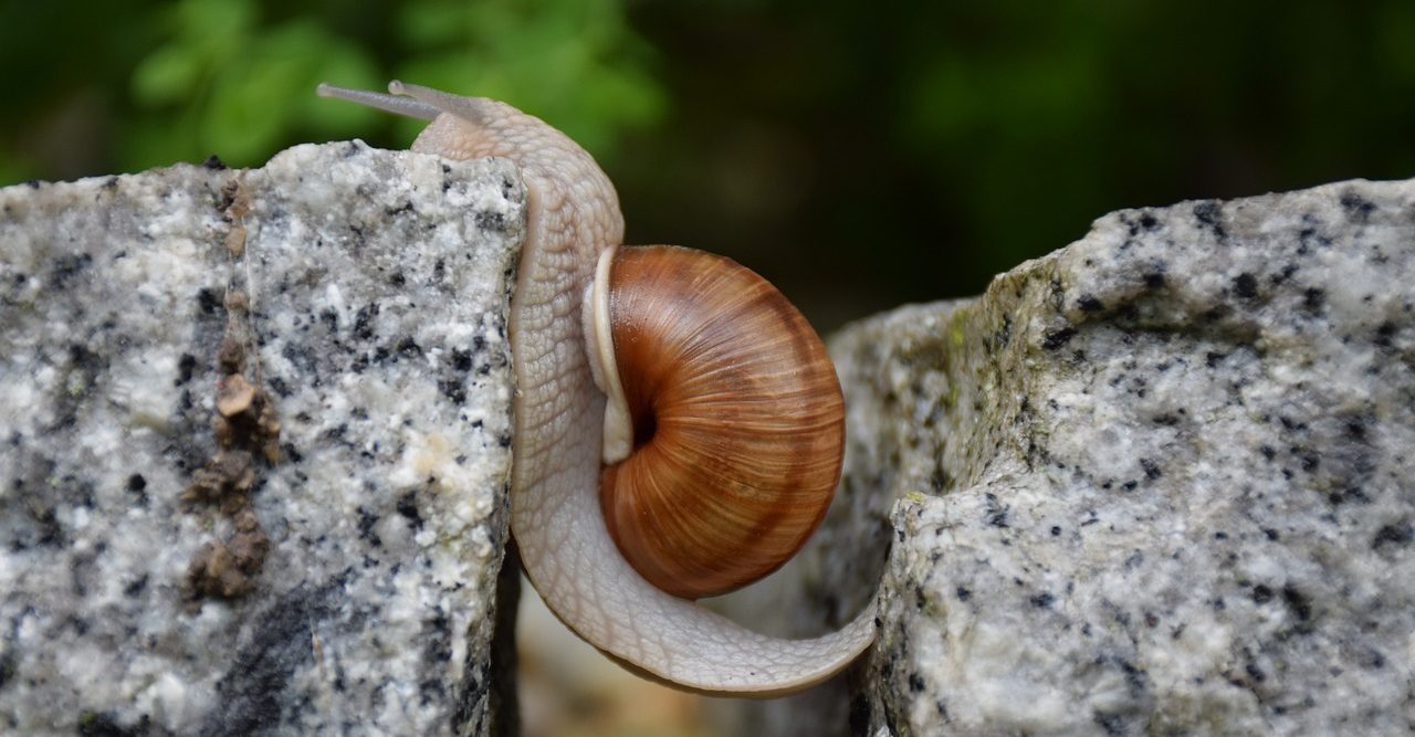 Cómo influye la fuerza de voluntad
